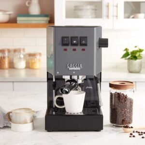 Gaggia Classic Evo E24 (Latest Brass Boiler) Industrial Gray