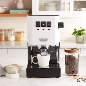 Gaggia Classic Evo E24 (Latest Brass Boiler) Polar White